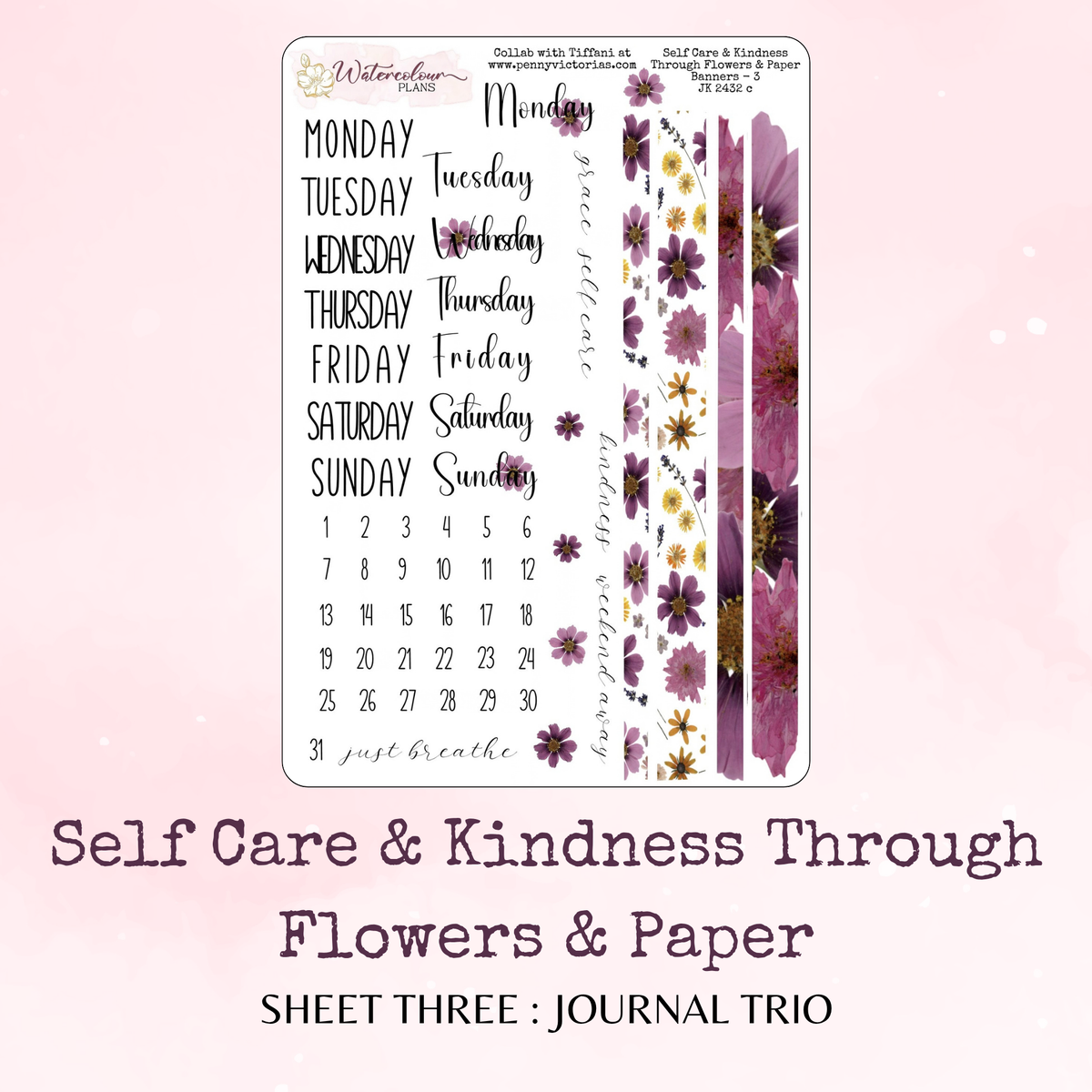 Self Care and Kindness Through Flowers and Paper - Journal Trio - Journal and Planner Stickers - Stationery - Watercolour