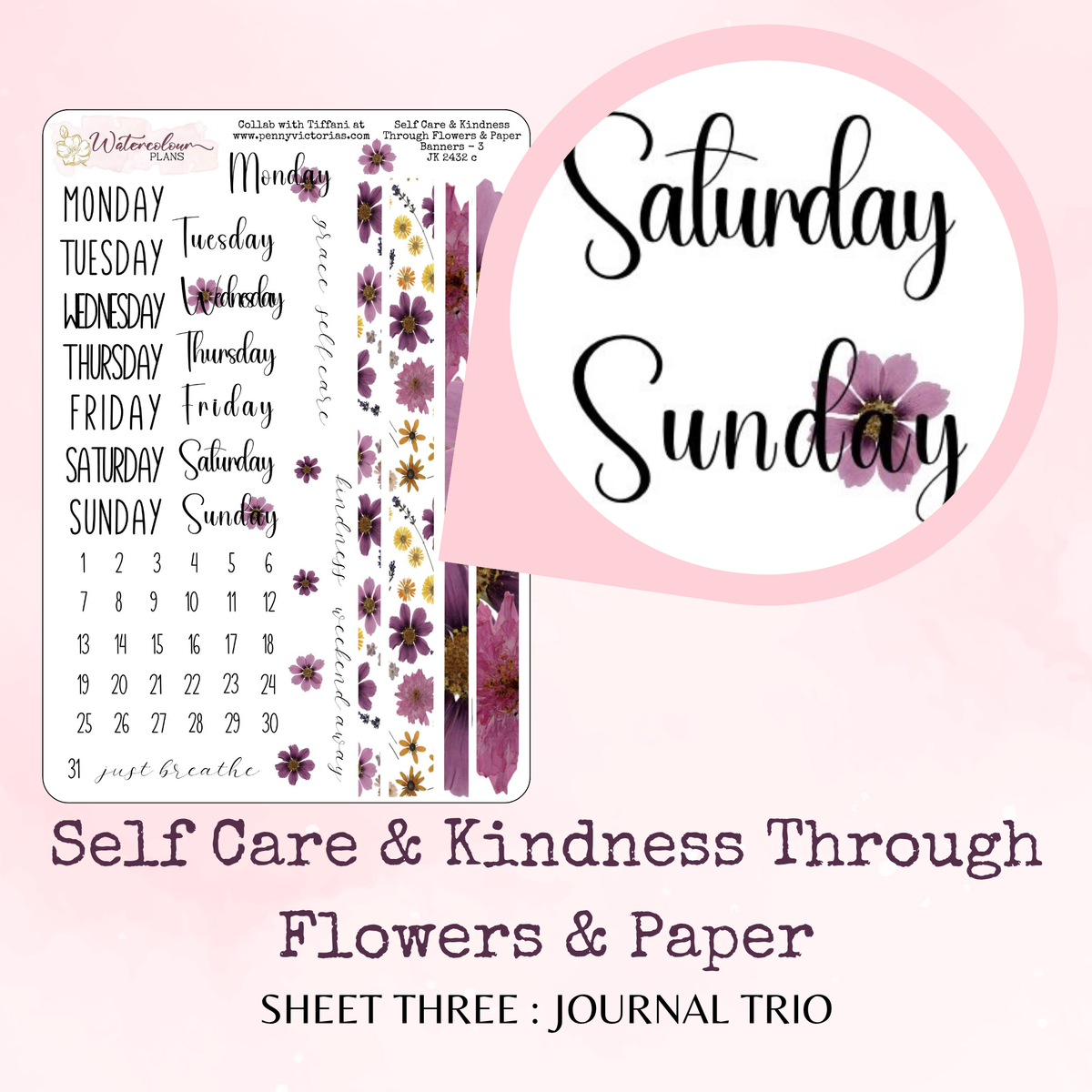 Self Care and Kindness Through Flowers and Paper - Journal Trio - Journal and Planner Stickers - Stationery - Watercolour