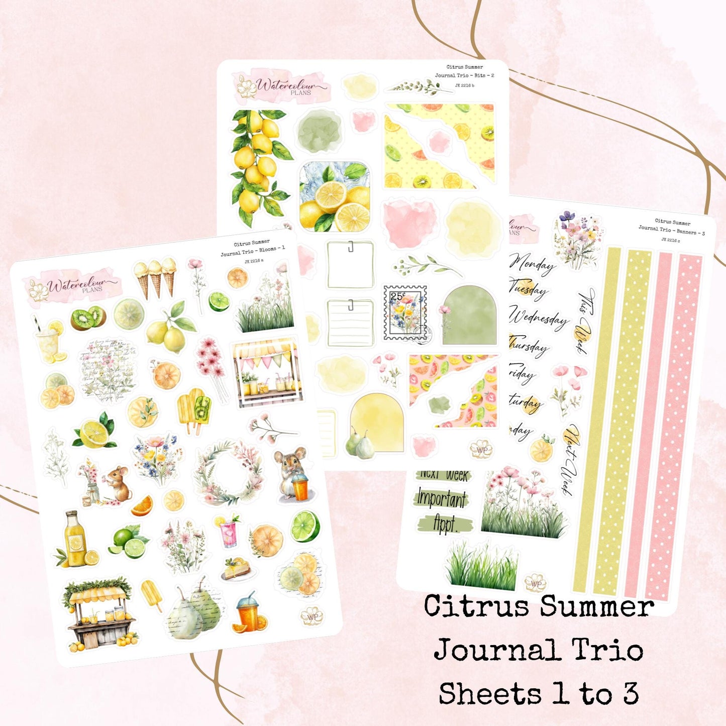 Citrus Summer - Journal Trio - Planner and Journal Stickers - Stationery - Watercolour