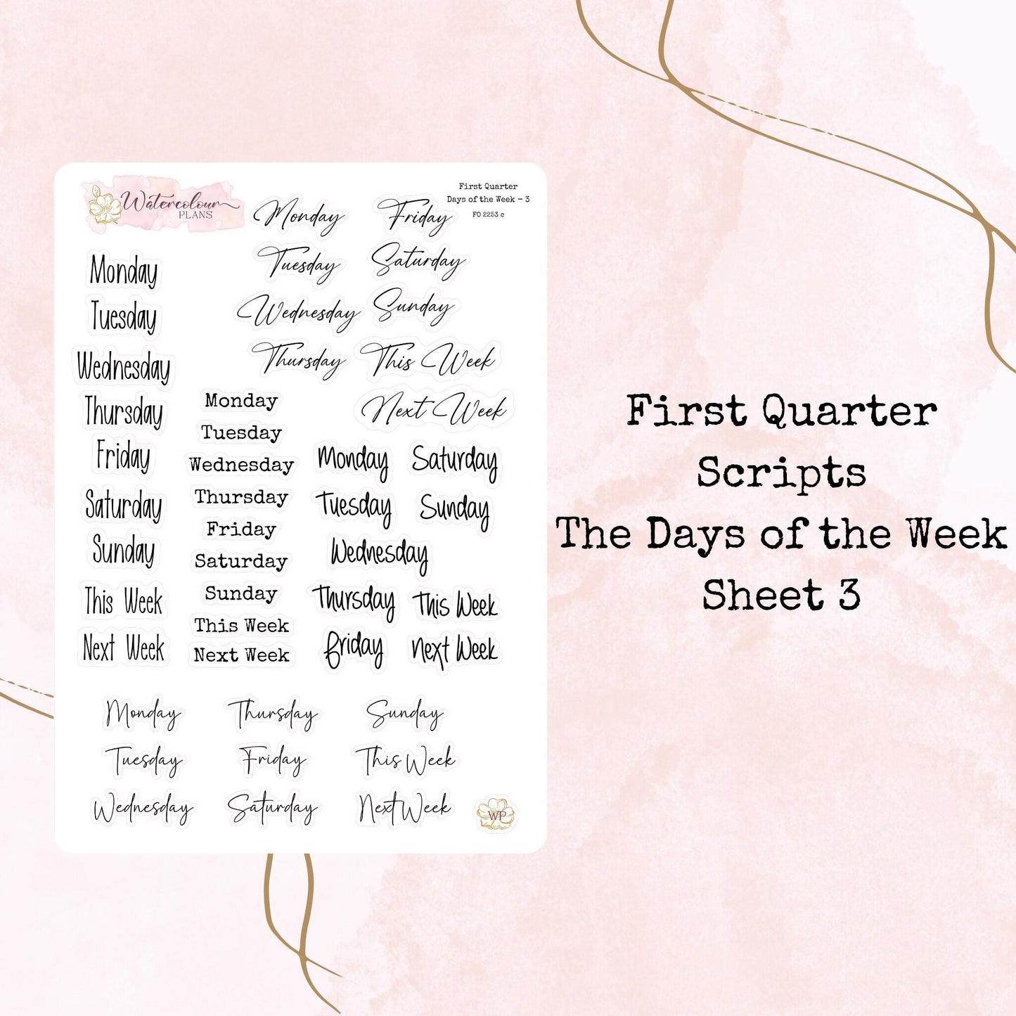 First Quarter Bundle - 2026 - Script Stickers - Days Weeks Months - Stationery