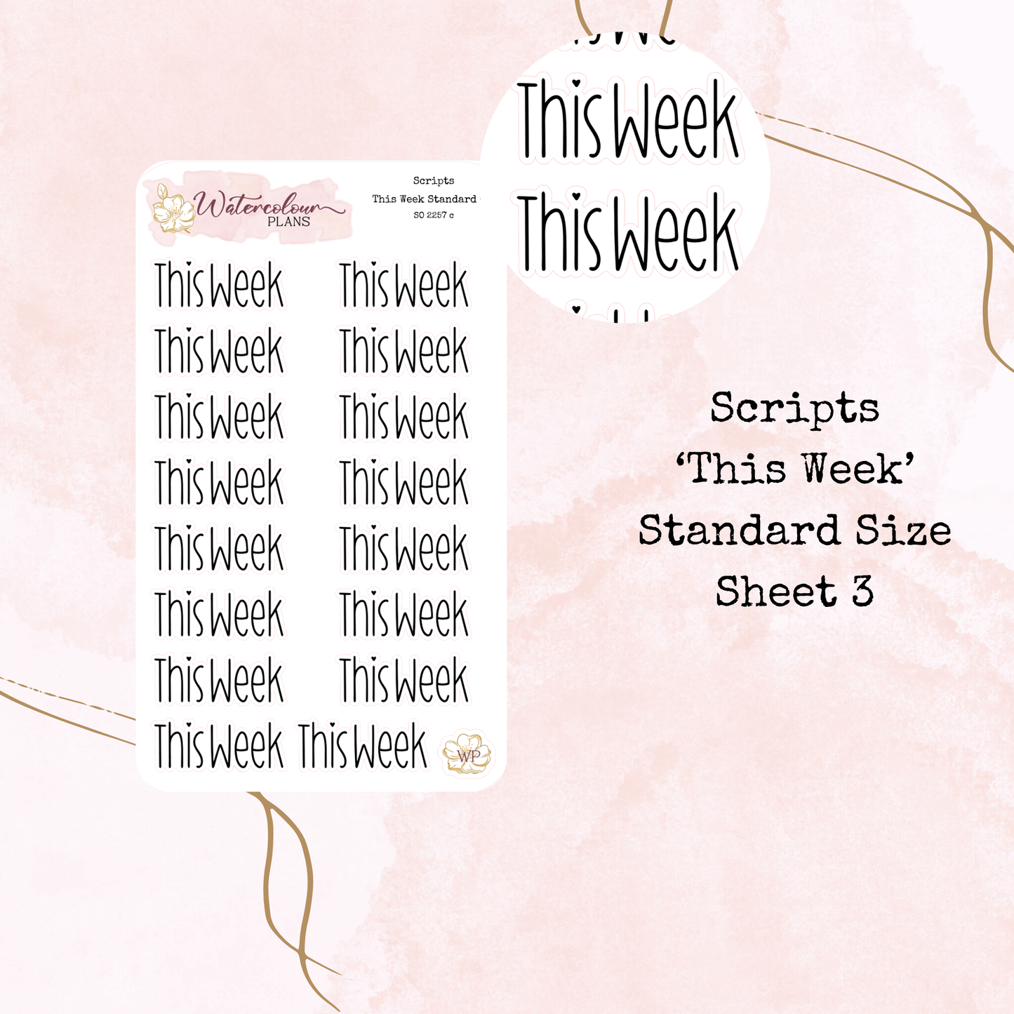 This Week Scripts - Four Sizes - Planner and Journal Stickers - Stationery