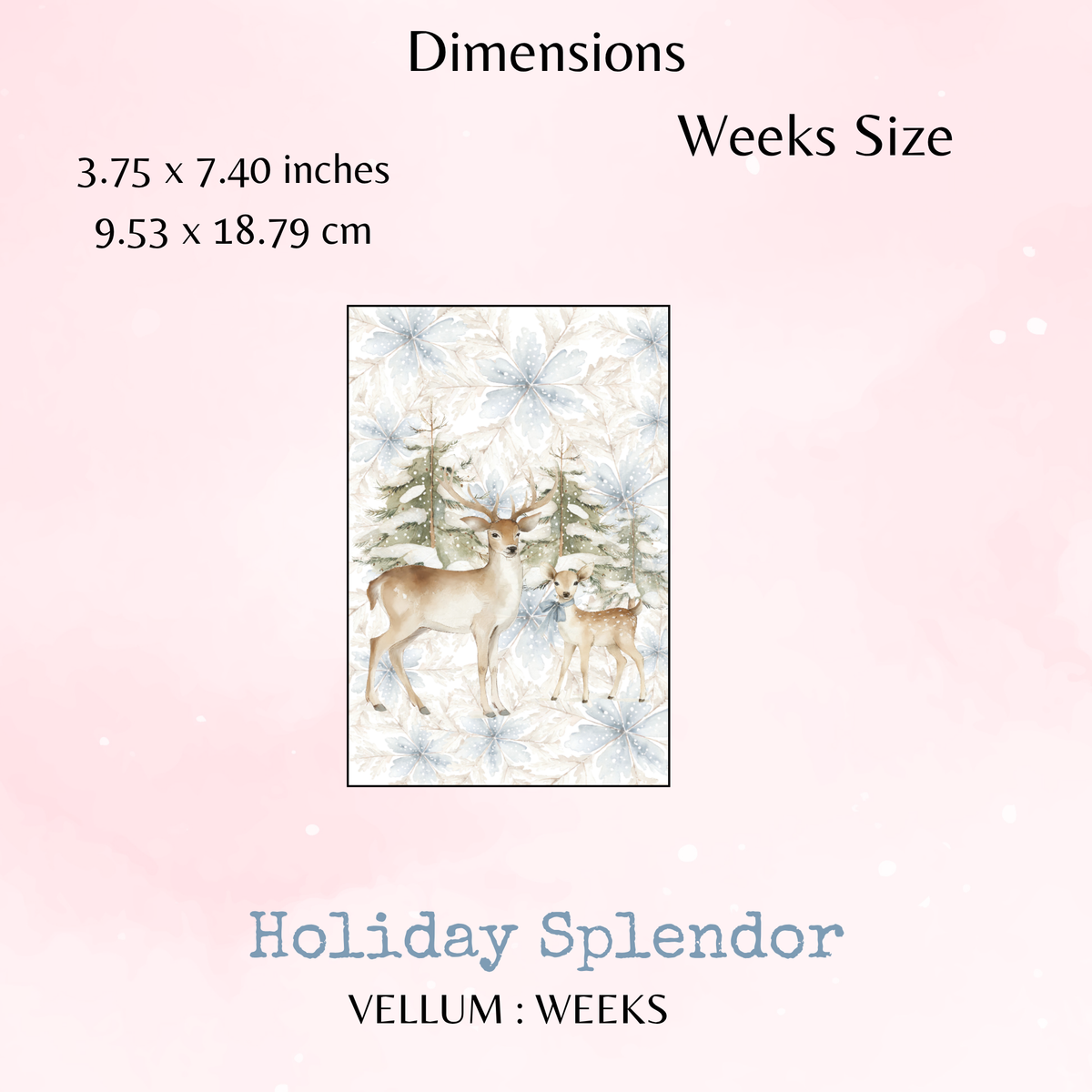 Holiday Splendor - Printed Vellum - Dashboard - Stationery - Watercolour