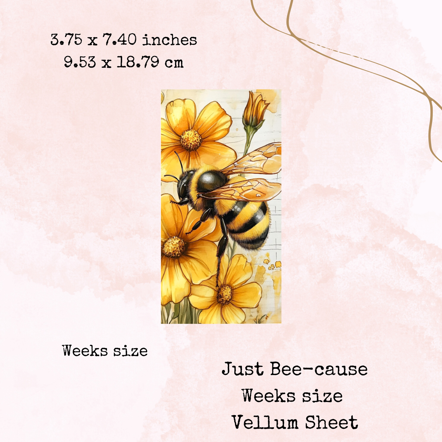 Just Bee-Cause - Printed Vellum - Stationery - Watercolour