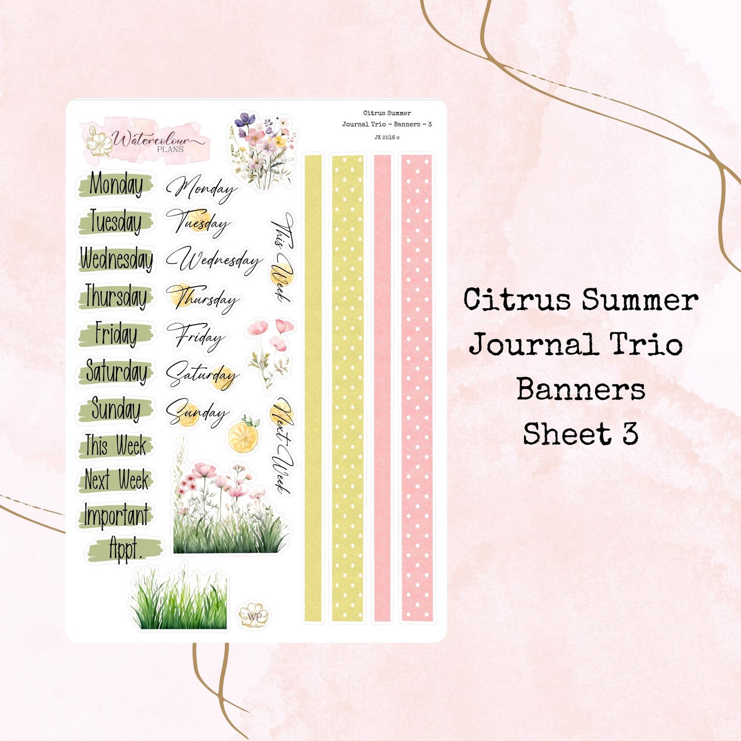 Citrus Summer - Journal Trio - Planner and Journal Stickers - Stationery - Watercolour