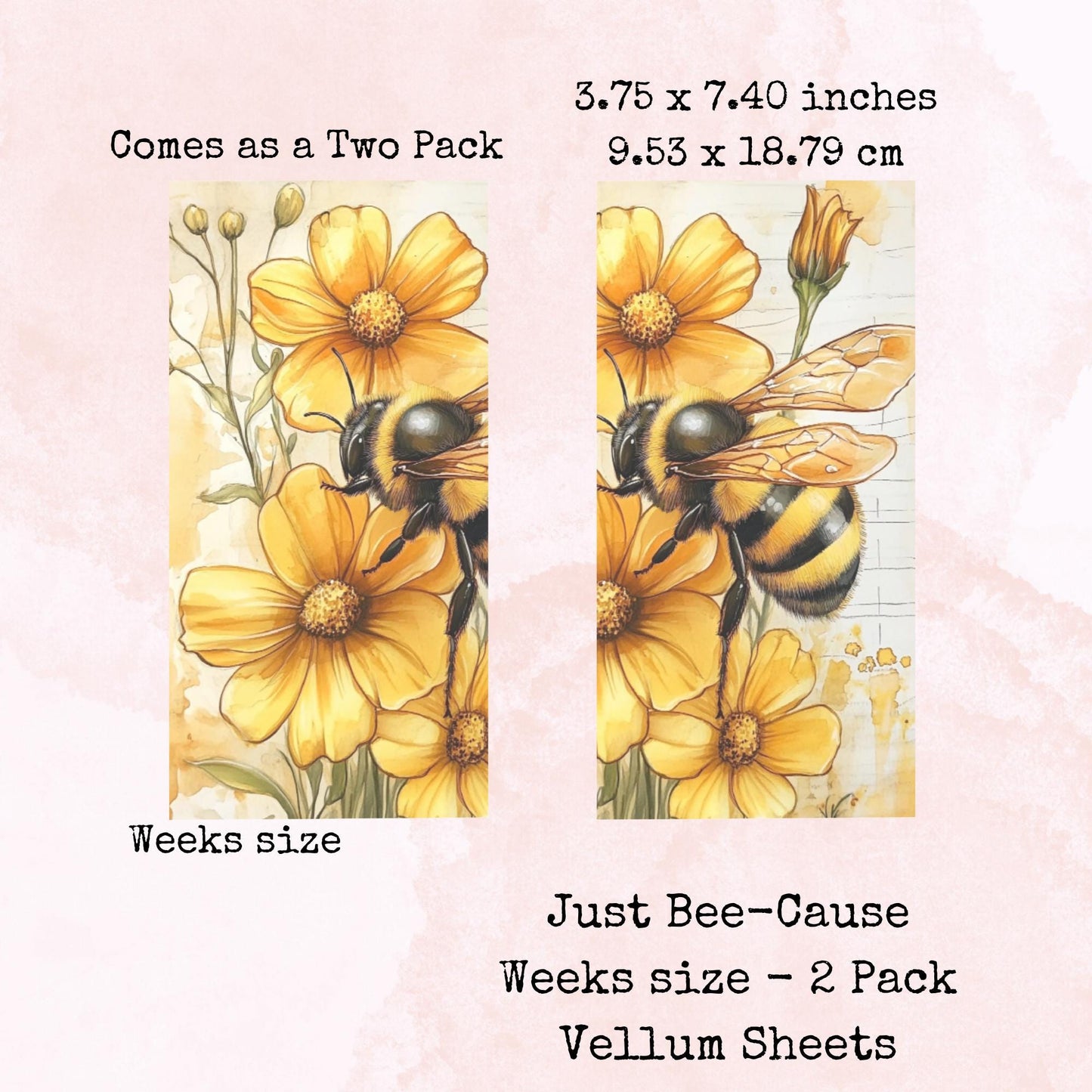 Just Bee-Cause - Printed Vellum - Stationery - Watercolour